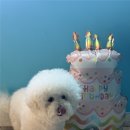 38마린리조트 이미지