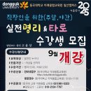 (야간)타로 이미지