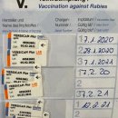 차암동물병원 이미지