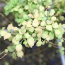 두이농장 이미지