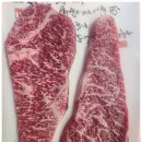 세종축산 이미지