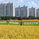 논두렁밭두렁 | [2024북구 논두렁 밭두렁 마을축제 후기] &#39;기후 위기, 마을을 지켜라!&#39;