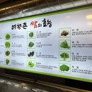 영산로 262 이미지