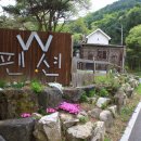 홍천더블유팬션 이미지