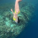 내삼어린이공원 | 송송이의 봄 일상