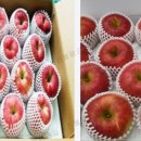 영주농장 이미지