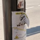 남성커트337