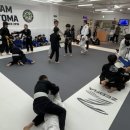 팀토마주짓수삼산 네이버블로그