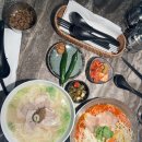 동쪽식당 | 2025.8월 제주 동쪽 반려견동반 식당 &amp; 카페 7곳 다녀온 후기