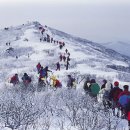 태백산 - 서구 완정로 151 | 태백산