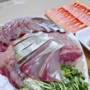 노량진수산시장맛집 '신안상회' 푸짐한 제철회를 즐겨보자!