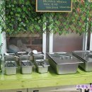 초록빛언덕글램핑 이미지