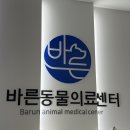 바른반려견센터 이미지
