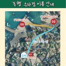 협재게스트하우스 | 협재게스트하우스 동행 게하 내돈내산 파티참석 후기