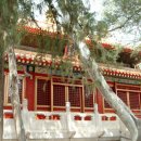 신.자금성 이미지