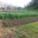 노루땅농장 이미지