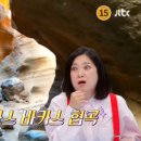 (주)라스엔 네이버블로그