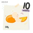 마리아잠수 | [임신일기] 6주부터 11주까지 임신초기 일기, 입덧 증상과 난임병원 졸업까지 정리