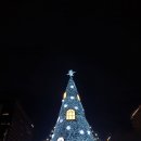 대형카프라자 이미지