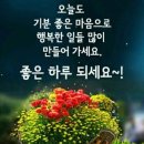 (주)좋은아침 이미지