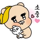 와이커스텀 이미지