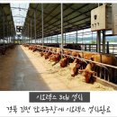 김천한우 네이버블로그