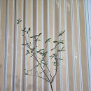 금학로136번길 이미지