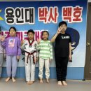 용인대박사백호태권도장 이미지