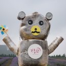 보롬제주 이미지