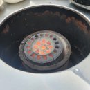 대궐도야지