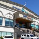 진양호캐리비안 이미지