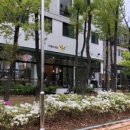 이태리식당 이미지