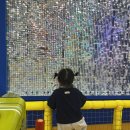 밀양대공원로 | 예약 필수 체험! 밀양 날씨놀이터 직접 다녀온 후기 (+준비물, 증빙서류)