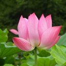 날마다좋은날 이미지