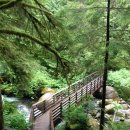 07/25/26 Wallace Falls State Park 이미지