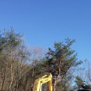 효자건강랜드 이미지