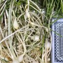 오진아 농촌치유농장 이미지