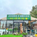 모모플레이스