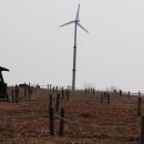 오방색권역 이미지