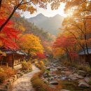 휴 PC | 서울 자연휴양림 수락휴 예약 꿀팁, 성공 비법 및 후기