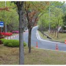 에코랜드수영장 축구장 이미지