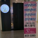 브이원회원권 | 잎새달, 스물