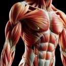 404피트니스 명지국제신도시점 이미지