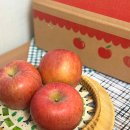 아침농원 | 청송 부사사과 추천 🍎 정담아농원 프리미엄 사과 솔직 후기 (실중량 배송 + 선물박스 포장)