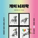 동글개 이미지