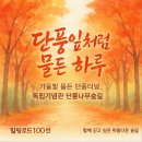 밀레니엄부여지점 | 독립기념관 단풍나무숲길 / 가을철 붉게 물든 단풍터널이 장관을 이루는 단풍명소