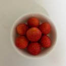 수원-0214 | 260201-0214