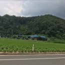 317-9 네이버블로그