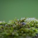 가축인공수정소 이미지