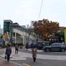 만산수목원 Daum카페